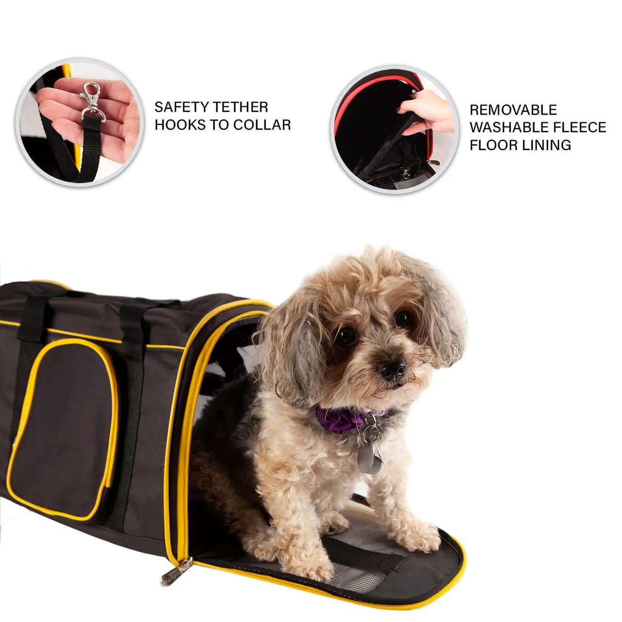 Arizona 16" Premium Pet Carrier