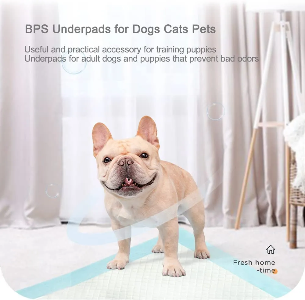 BPS® Training Pads for Dogs Cats Perfumes with Pheromones to Attract Puppies and Simplify Training Product Pets Size XL 60 x 90 cm BPS-2170