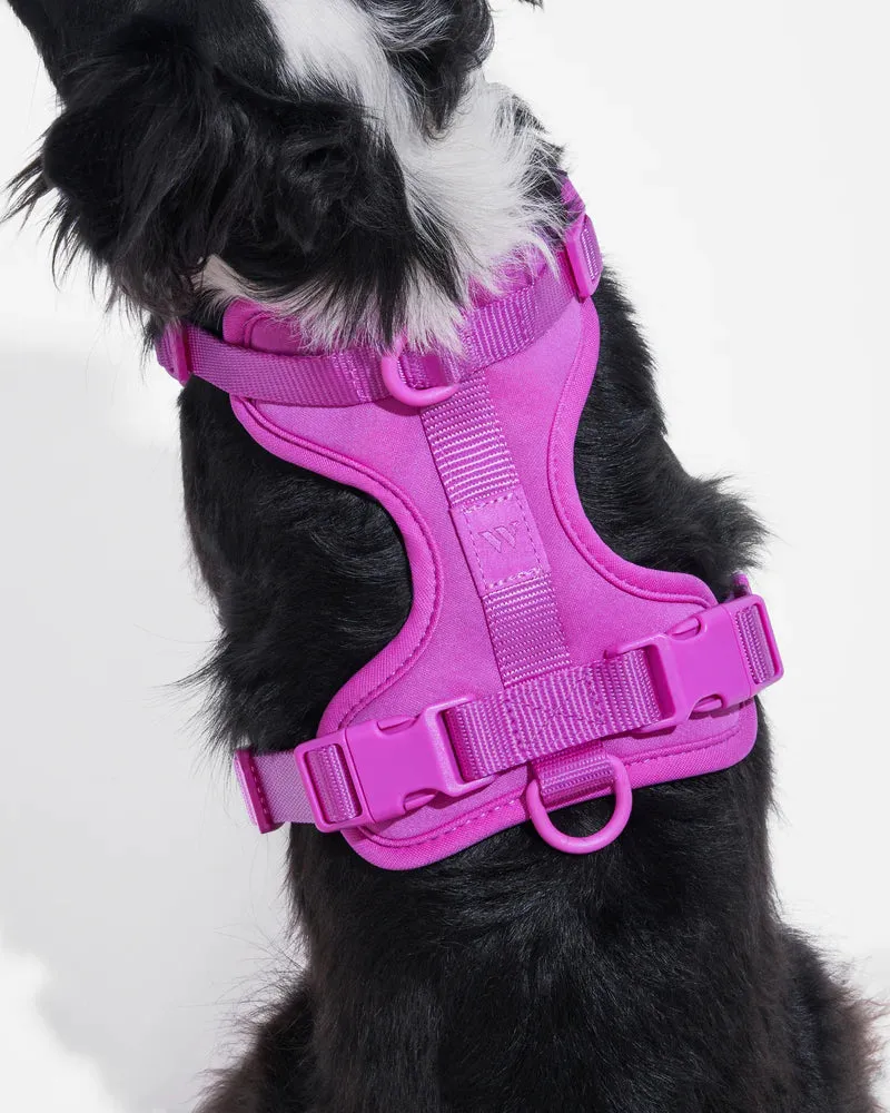 Comfort Pet Harness