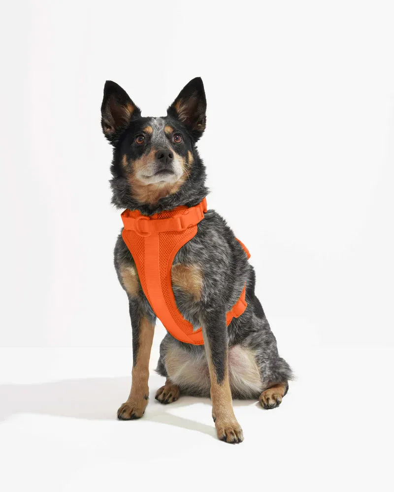 Comfort Pet Harness