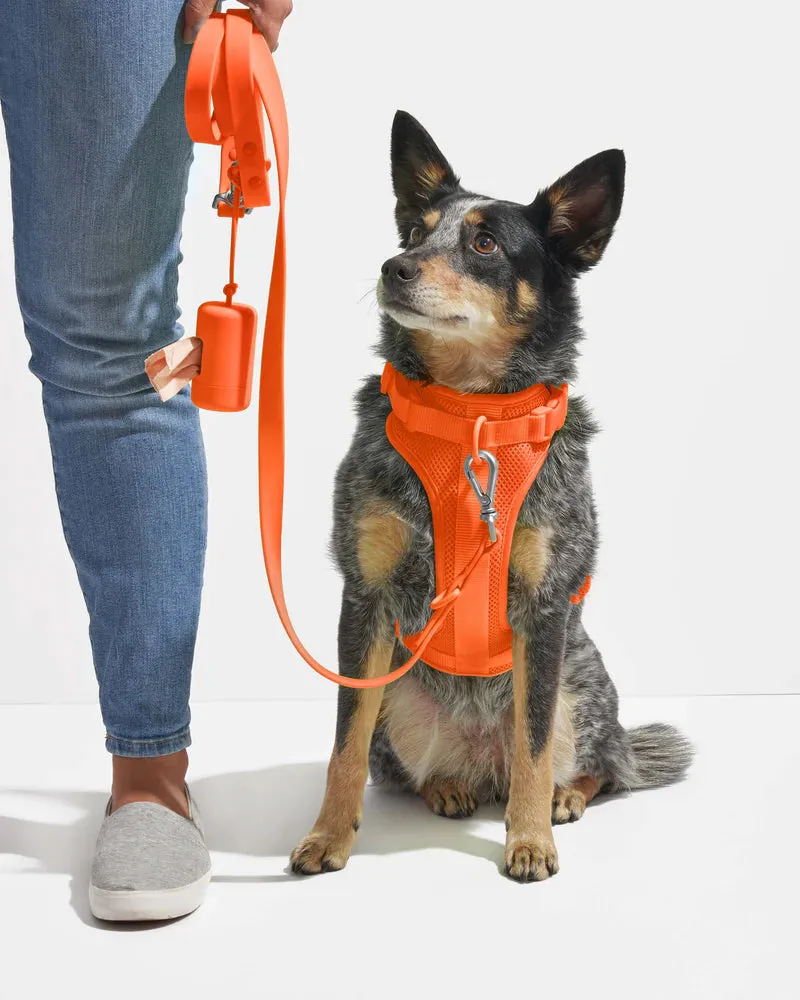 Comfort Pet Harness