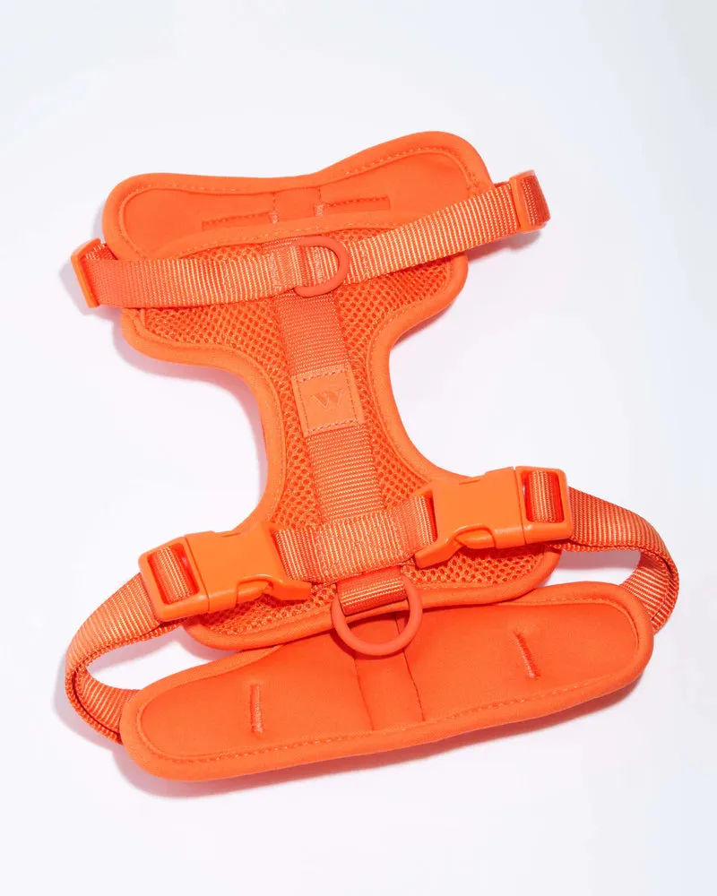 Comfort Pet Harness