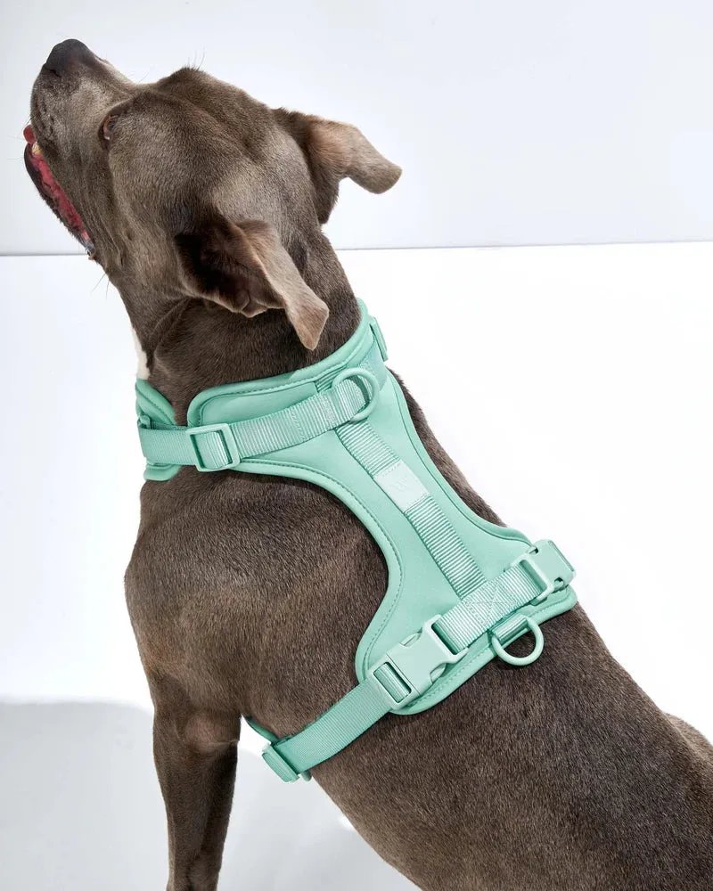 Comfort Pet Harness