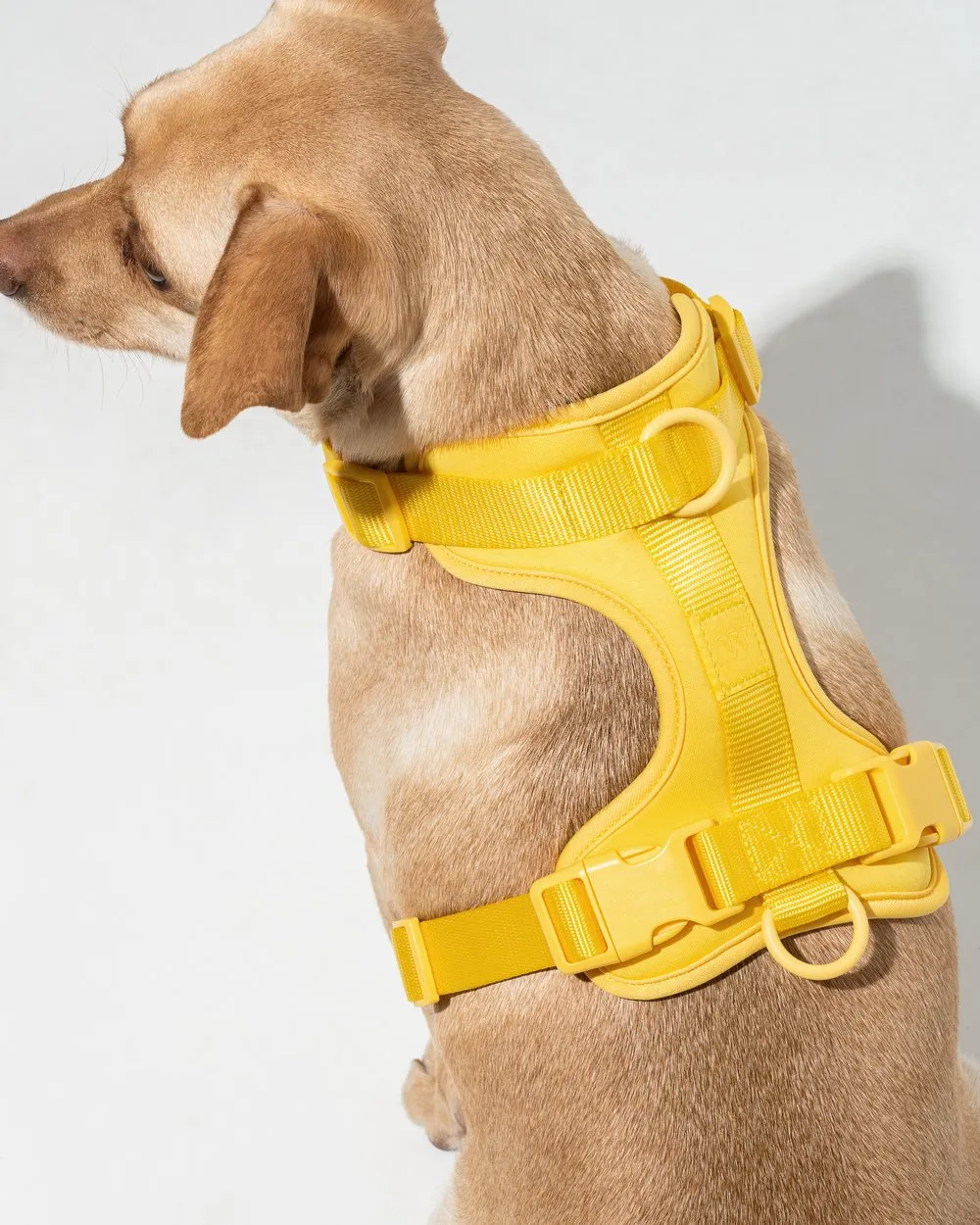 Comfort Pet Harness