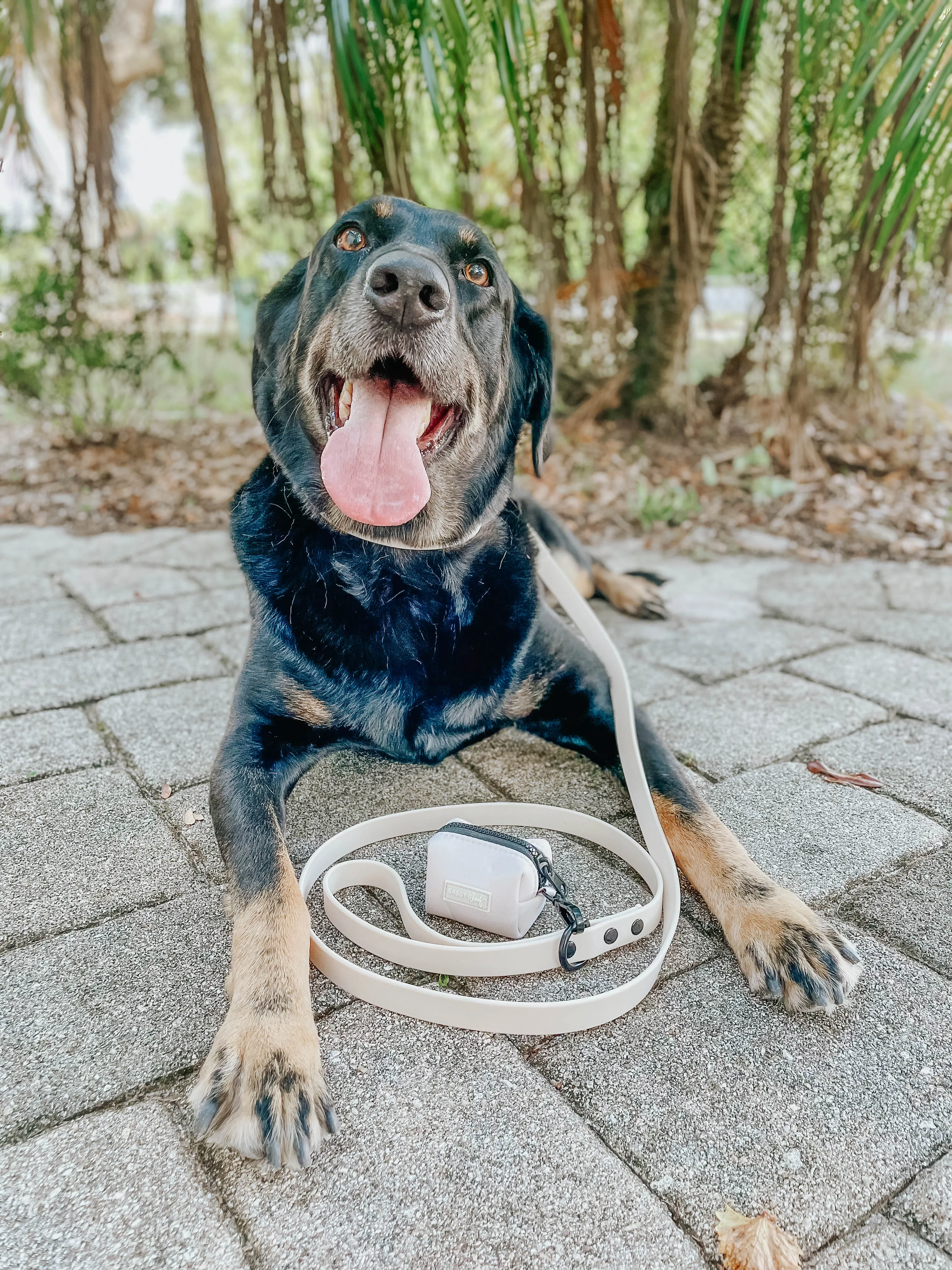 Dog Waterproof Collar - Beige