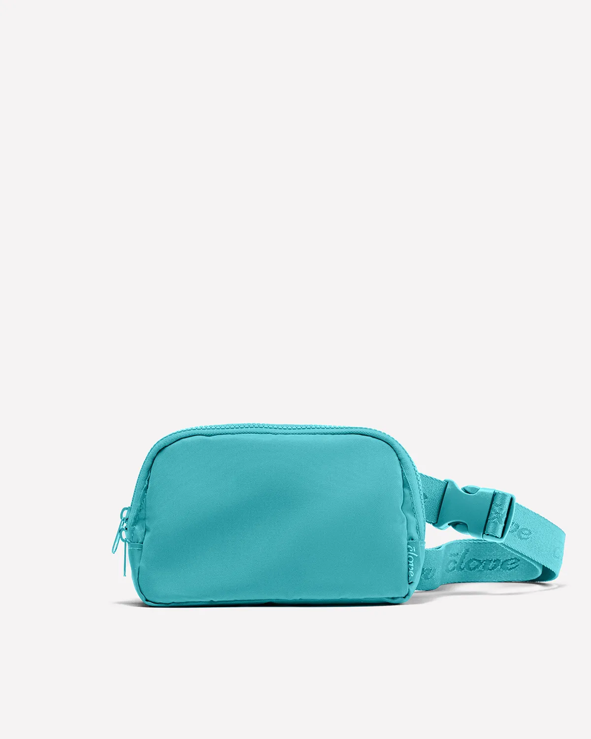 FREE Aqua Clove Fanny Pack