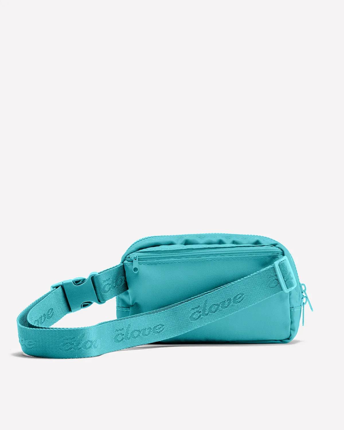 FREE Aqua Clove Fanny Pack