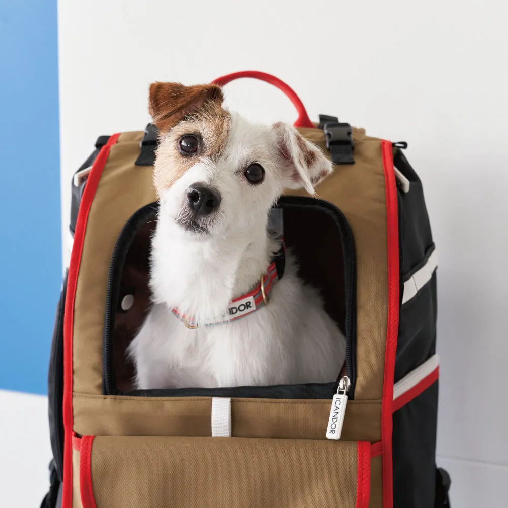 JIGE Backpack Pet Carrier (Vivid Khaki)