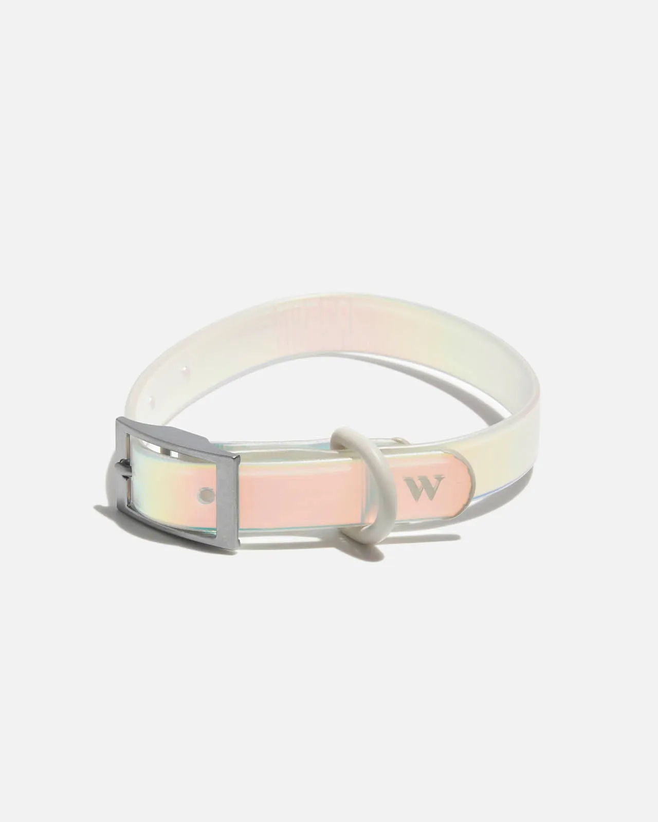 Splendid x Wild One Dog Collar