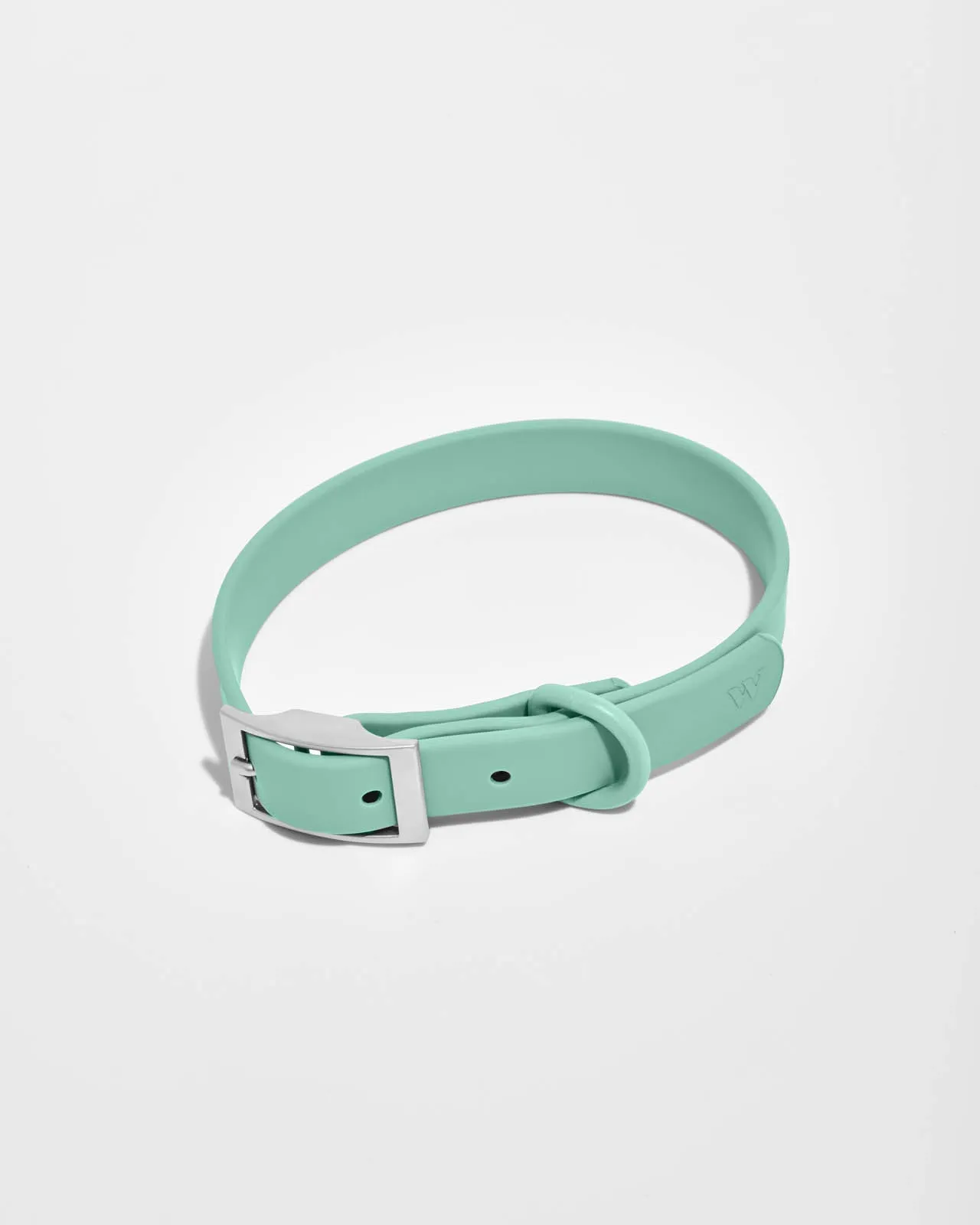 Splendid x Wild One Dog Collar