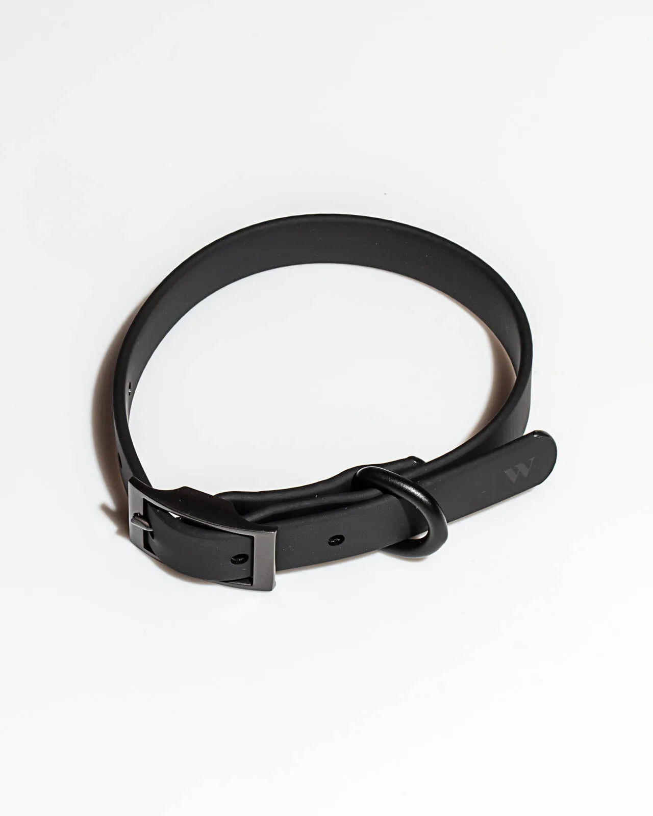 Splendid x Wild One Dog Collar