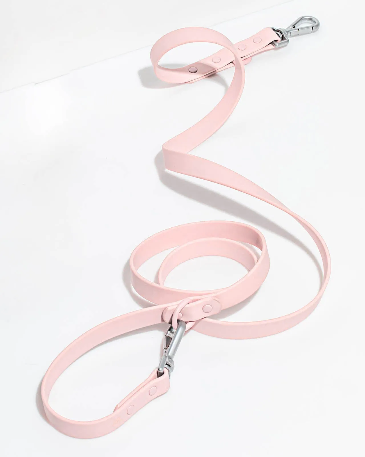 Splendid x Wild One Leash